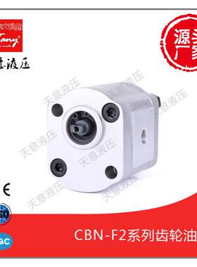 供应高压齿轮油泵CBN-F2010机床润滑小型液压系统专用齿轮泵