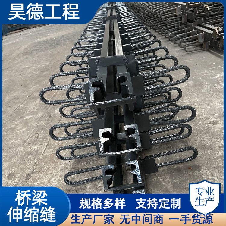 公路桥梁伸缩缝GQF-F型D406080型异型钢毛勒缝模数式伸缩装置