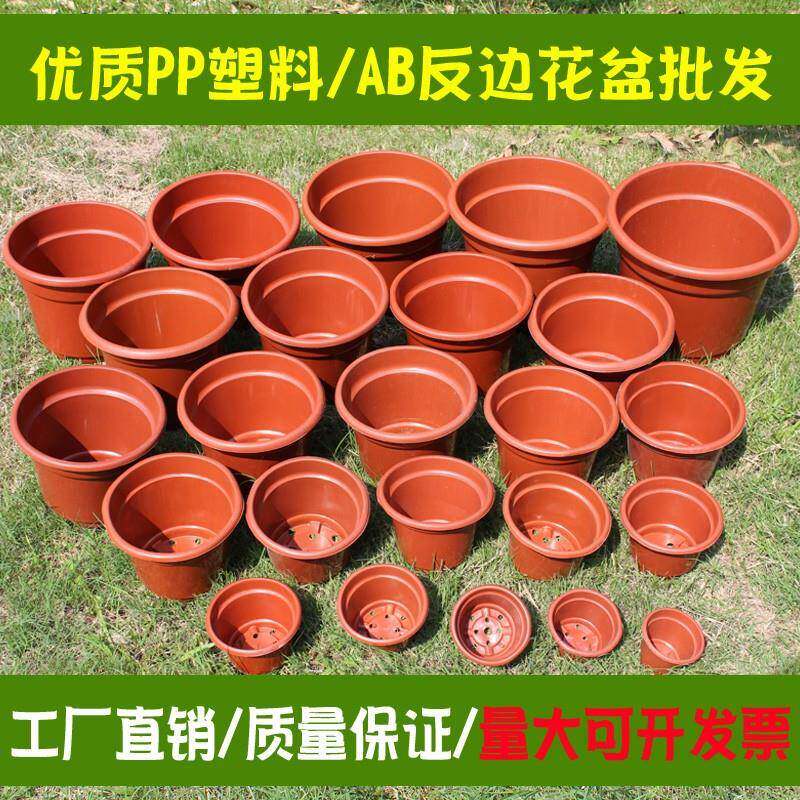AB圆反边塑料花盆加厚基地种植盆育苗网底小花盆绿萝小号大号无托