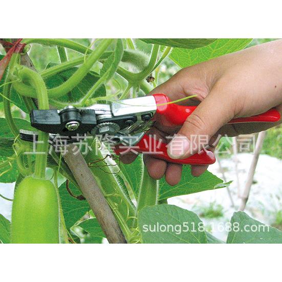 卡玛兹CZ-01采摘钳 果树采摘器 瓜蔓剪 农用苗木修剪