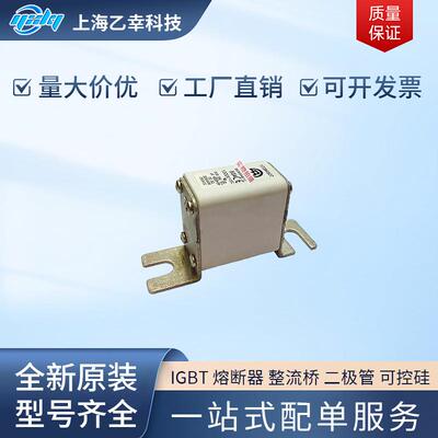 巴斯曼熔断器 170M4951 170M4952 170M4953 170M4954 170M4955