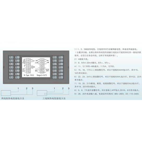 智能温度测控仪WP-C温度监测仪厂家报价
