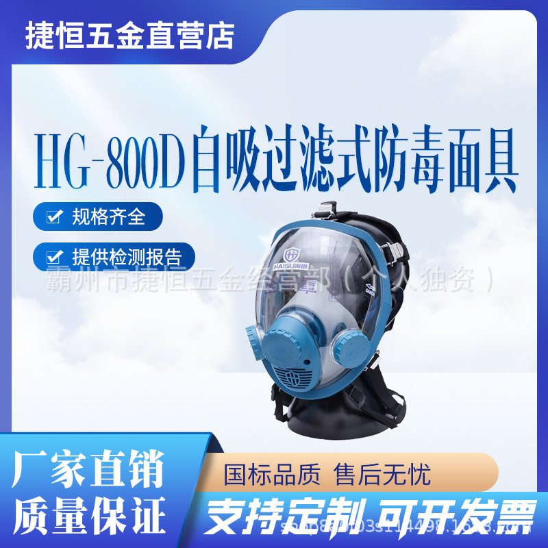 海固HG-800D全面罩防尘面具化工活性炭滤毒喷漆酸碱防苯氨醛