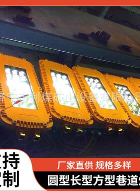 防爆灯具防水防尘48W隔爆型LED照明灯DGS48/127L巷道灯