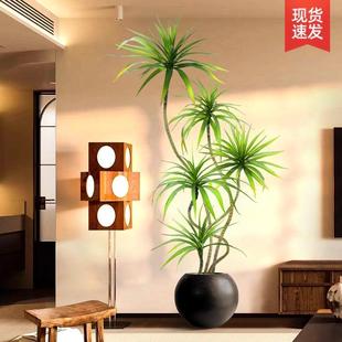 仿植真绿植xx 饰轻奢客厅 千年龙血树栽室内盆花大型仿生物假树装