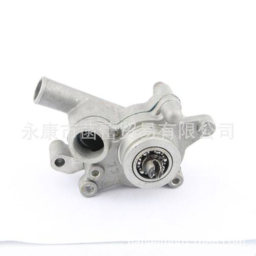 摩托车，踏板车，临海250/260，CN250发动机水泵总成