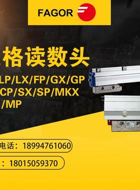 供应发格光栅尺读数头/FXG/LP/XLX/FP//GP/CXCP读数XDS头等均有销