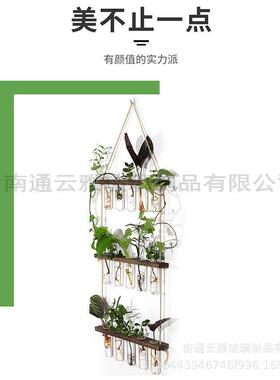 挂壁绿装饰品层植孔五原木玻璃试管花160020瓶水培植物容器创意家