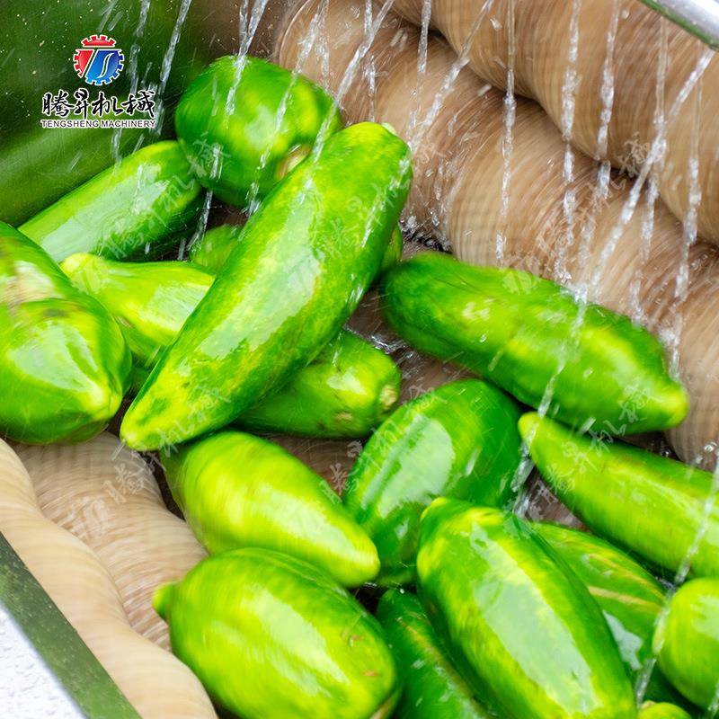 机GQO型毛刷式洗果机土豆红薯清小毛洗机辊清洗厂家直销