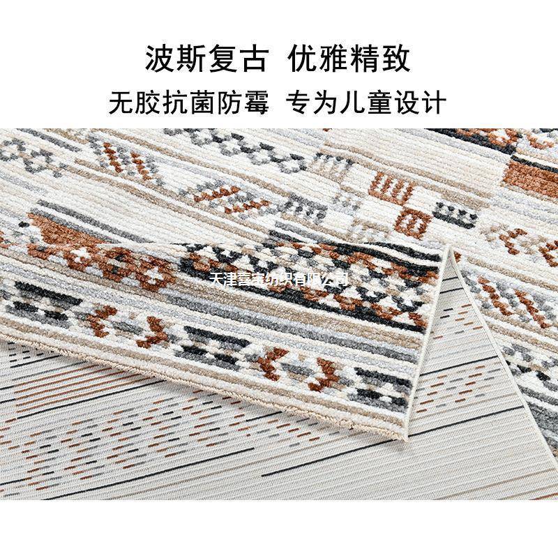 高端客厅地毯毯茶几波西威尔易波斯轻米亚奢打理摩洛哥进口土耳其