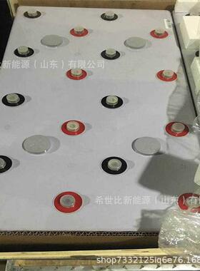 圣阳免维护电瓶3GFM-200/现货6V200AH铅酸蓄电池机房电厂通信设备