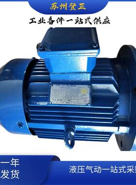 意大利WAM电机MT1600L04245111KW4极