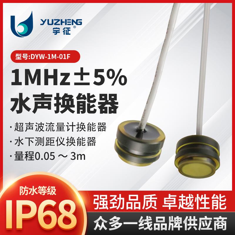 1MHz插入式水声换能器DYW-1M-01F超声波流量计探头485输出