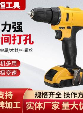12V21V高性能外贸款电钻家用多功能锂电钻手电钻套装箱