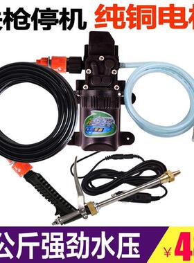 12v洗车水泵车载洗车机220v高压水枪家用便携式器刷车神器抢