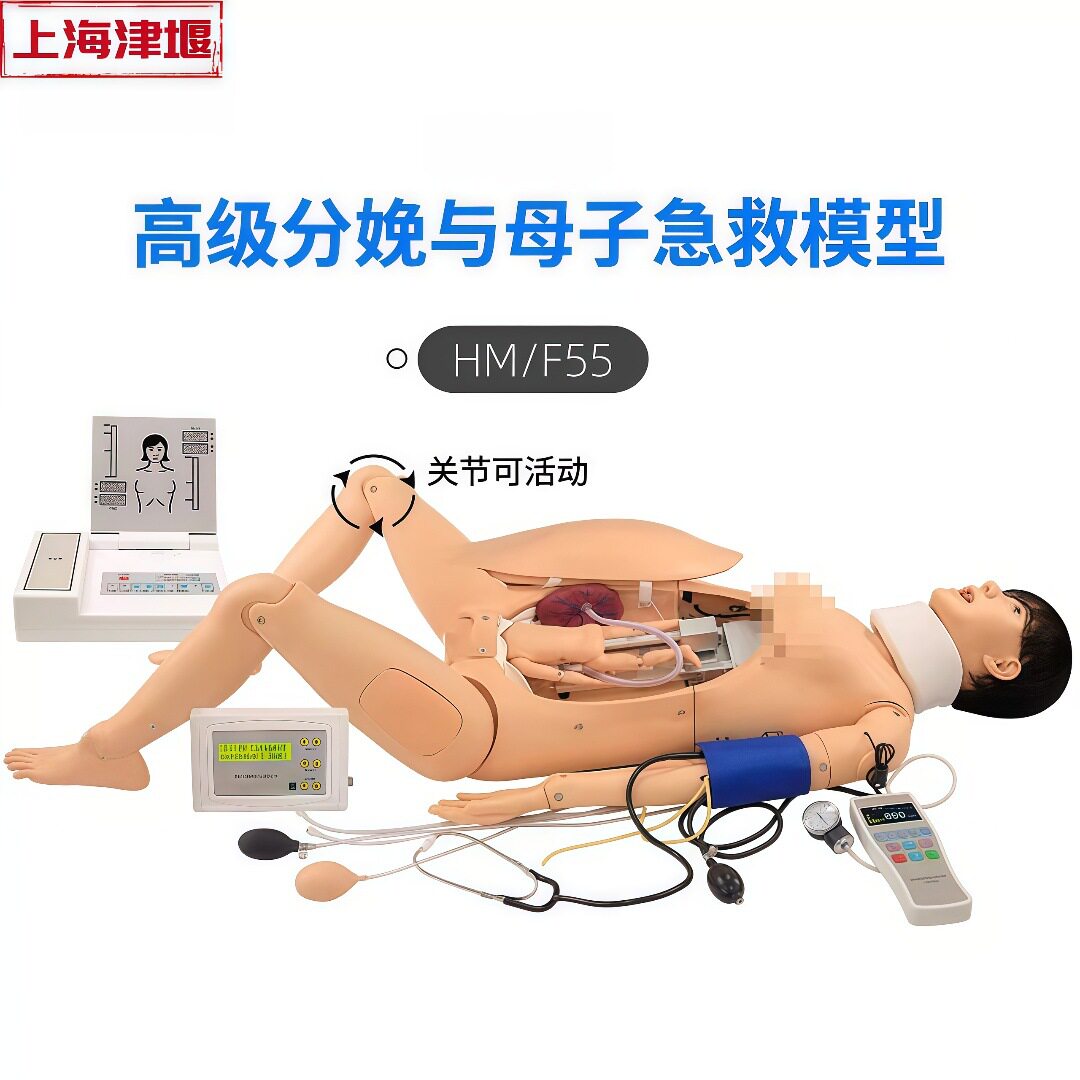 5高级分娩与母子急救训练模型模拟人 妇产科孕妇生产全过程模拟仿