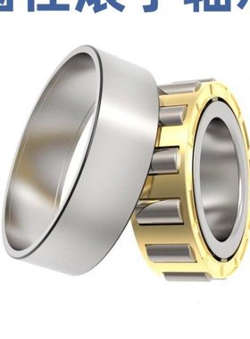 圆柱滚子轴承N1013 1014 1015 1016 1017 1018 1019 1020 1021 EM