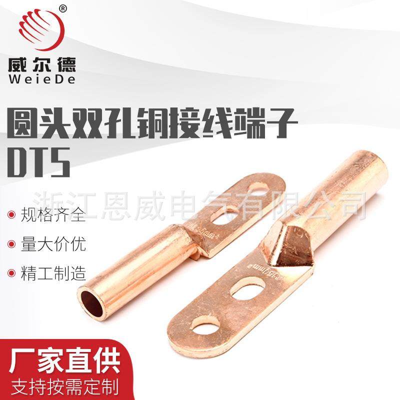 双孔铜鼻子DTS-25/35/50/70/95/120铜线鼻子接线端子双眼线耳紫铜