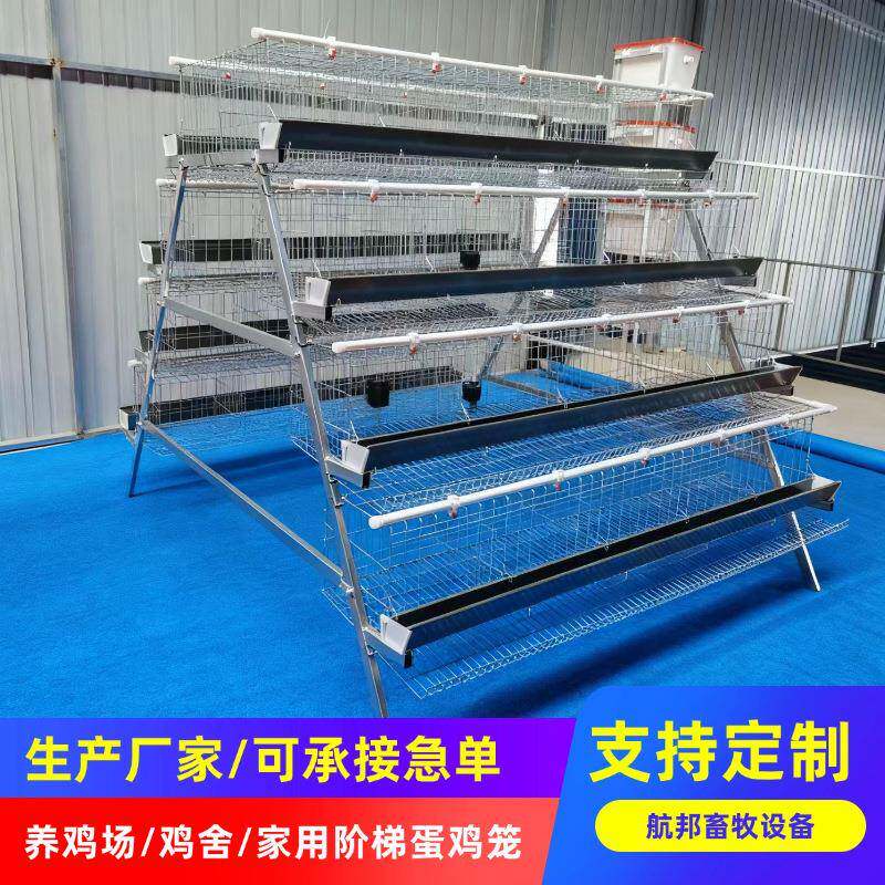 养鸡场梯形蛋鸡笼供应鸡舍四层五门阶梯蛋鸡笼后热镀锌蛋鸡笼