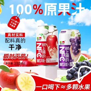金保罗100%苹果汁葡萄汁nfc25年匠心居家饮品无添加8瓶/箱