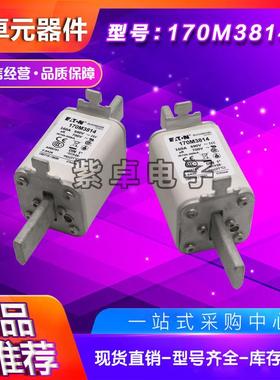 170M3814170M3815170M3816170M3817170M3818170M3819熔断器