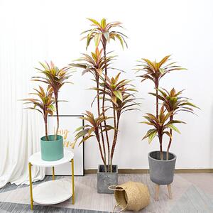 红叶朱蕉绿植客厅家居酒店造景热带雨林景观植物假树盆栽仿真绿植
