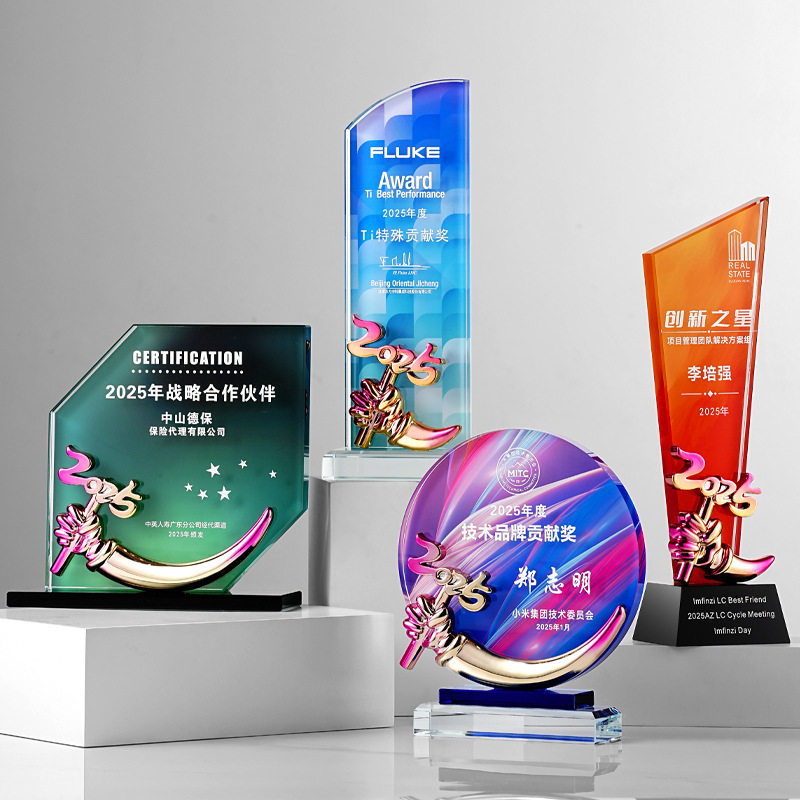 2025新款水晶金属炫彩奖杯退休比赛保险公司年会颁奖优秀员工奖杯