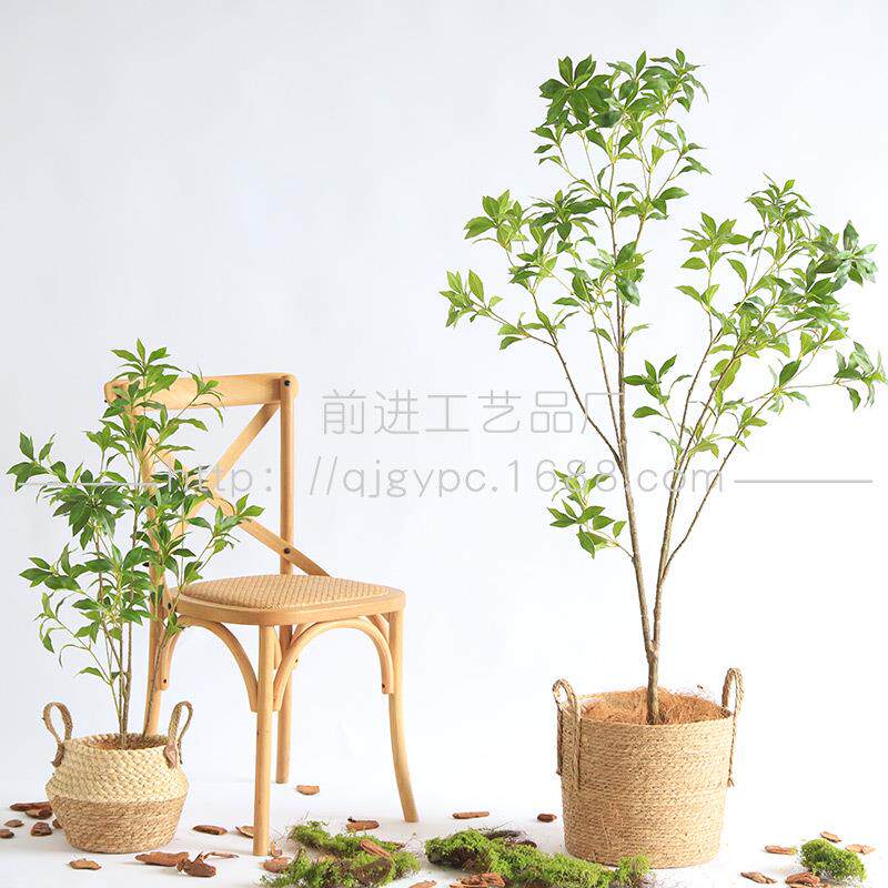 新款马醉木装饰树仿真绿植造景搭配室内软装店面门头摆件树