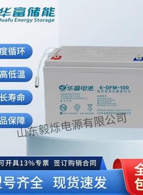 华富蓄电池6-GFM-10012V100AH直流屏太阳能光伏路灯65/200/150