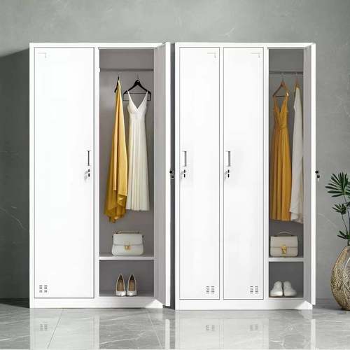 单二门更衣柜铁皮门柜带锁员工2门柜办二门衣柜公柜收纳柜拆衣装