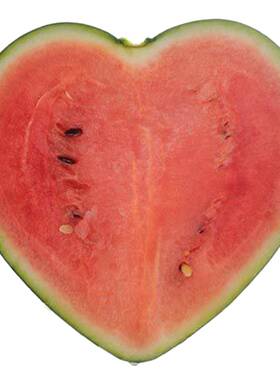 17X成17心形西形瓜定型生长模具心形西EMG瓜型模方形元模宝心西瓜