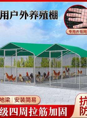 外鸡棚鸡笼子鸡鸭鸽笼家禽大型孔雀遮全雨鸡殖舍搭建养QLO笼鸡户
