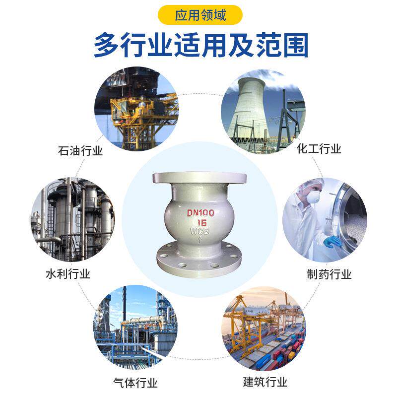 止回阀立式止回H阀铸钢回阀42H-16C/TTB2H4W-16P止不锈钢止回阀