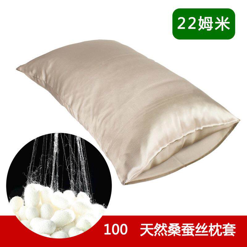 22姆信封式真丝枕套双面100桑蚕丝枕头套丝绸床品现货