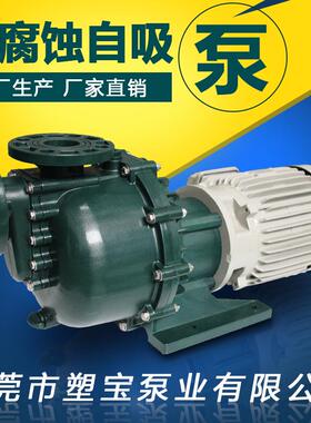 LD-40011化学清洗循环泵氨水输送泵循环氨水泵流泵磷化液输送泵厂