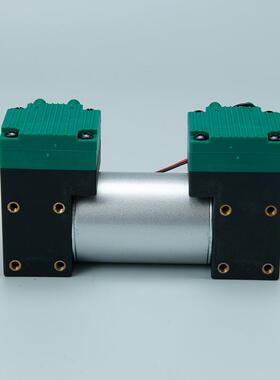 2AP51-1双头微型隔膜DC12V小型气磅喷枪抽打两用真空电动静音气泵