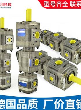 福伊特齿轮泵双联内啮合液压泵IPVP/IPV4/5/6/764/80125voith油泵
