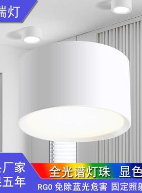 明装筒灯全光谱高显色服装店商场黑色吸顶三色变光吊装筒灯6寸30W