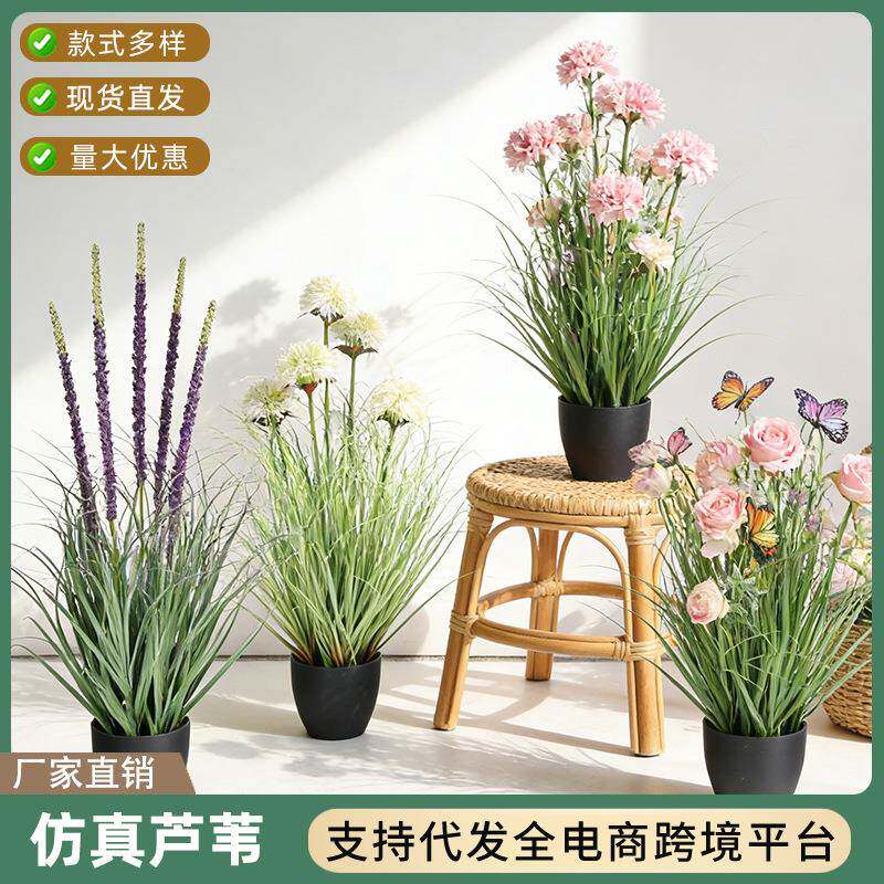 仿真芦苇车前草玲珑芒草盆栽服装店咖啡店橱窗落地装饰太阳花盆景