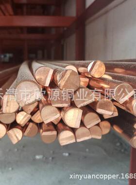 接地铜排5*205*紫255*0EIJ53405*505**605*805*100镀锡铜排