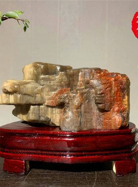 天然木化石原石硅化木树化玉石头观赏石奇石玉石家居装饰收藏摆件