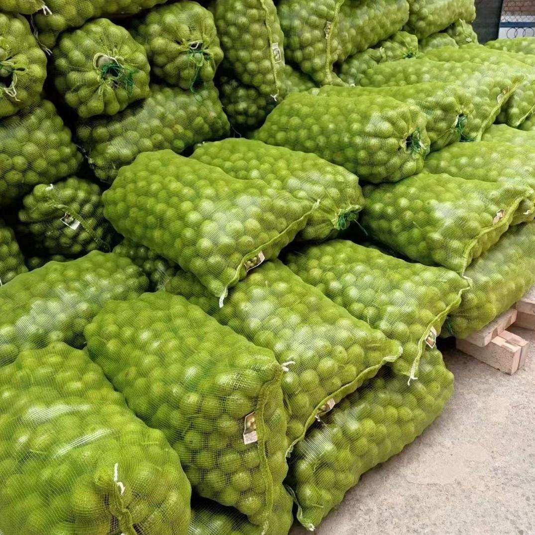 现货打包网眼袋蔬菜水果干果包装pp塑料家禽网袋可运输袋子