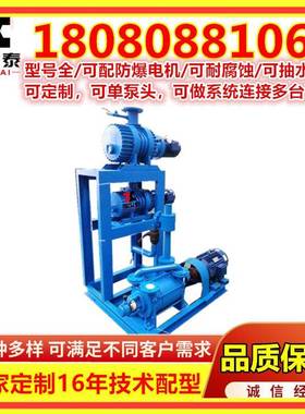 2SK循环水真空泵20M3/Min水环真空泵真空压缩机组系统无油耐高温