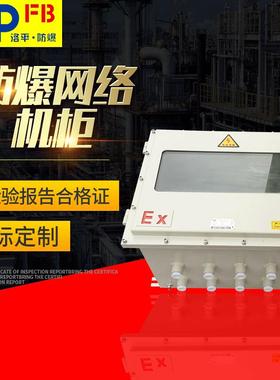 防爆网络机柜防爆标志：ExdeⅡBT6DIPA20TA，T6洛平防爆