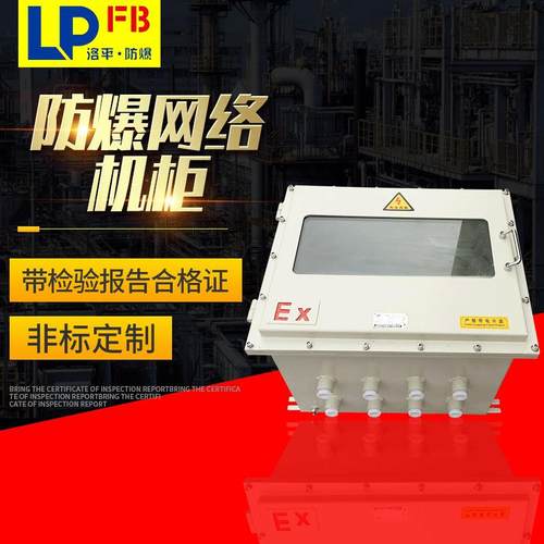 防爆网络机柜防爆标志：ExdeⅡBT6DIPA20TA，T6洛平防爆