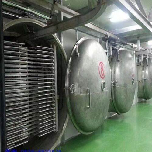 水果片真空冻干机水果冻干机火龙果冻干机