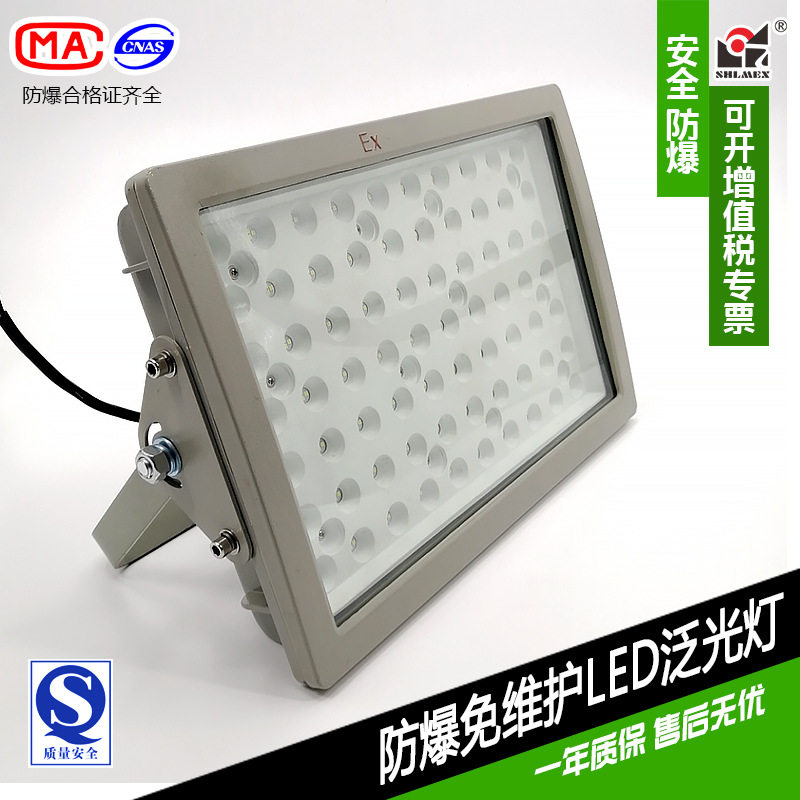 LED防爆灯上海新黎明防爆免维护LED投光泛光灯BTD97 BZD188
