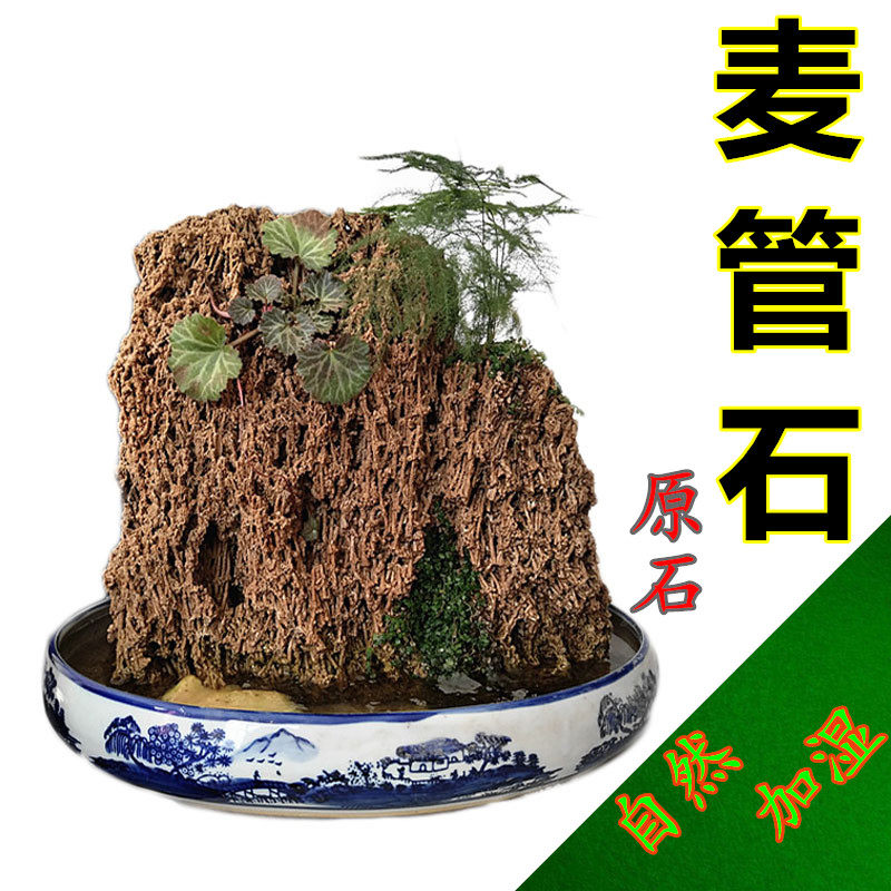 天然麦管石原石 吸水石假山盆景上水石原石 水秀石芦管石鱼缸造景