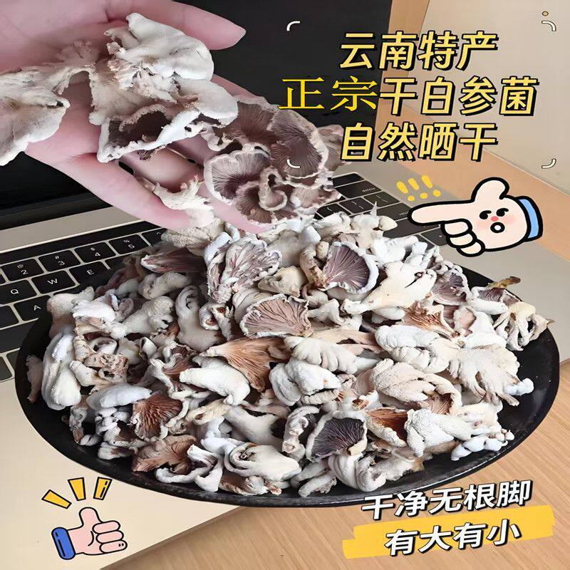 云南德宏白参菌干货农家自晒特产裂褶菌白花白参沙参树花