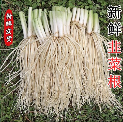 云南德宏新鲜撇菜根1-5斤